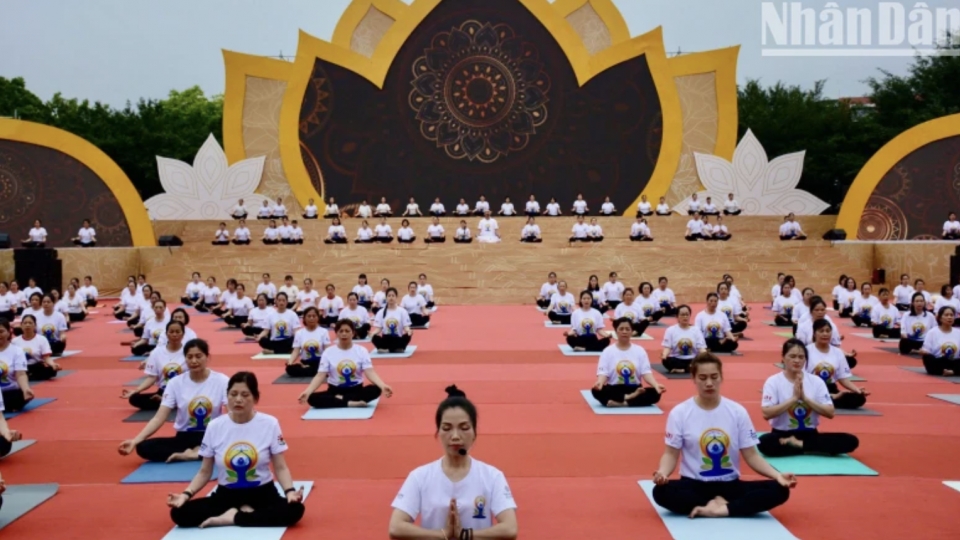 International Yoga Day 2025 fosters Vietnam – India cultural exchange